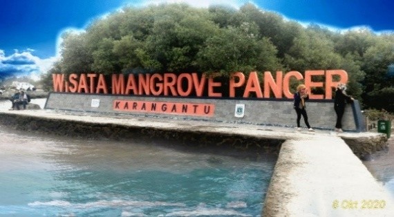 Wisata Mangrove / Kampung Wisata Pancer